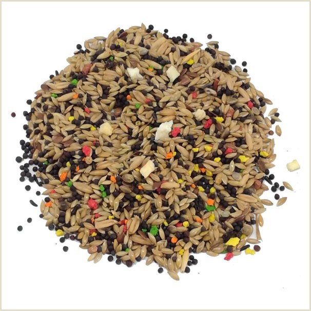 Alivita Bisquì Canarino – alimento per uccelli