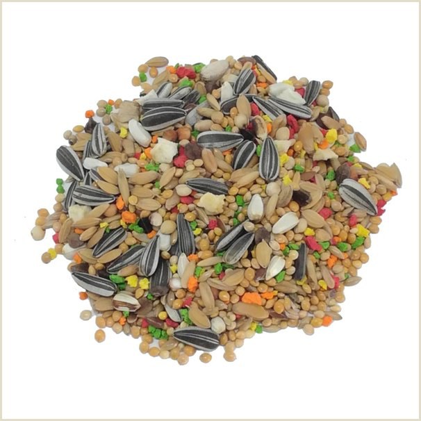 Alivita Bisquì Parrocchetti – alimento per uccelli