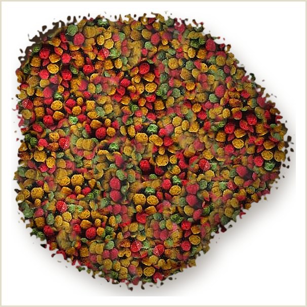 Alivita Estruso Pappagalli – alimento per uccelli
