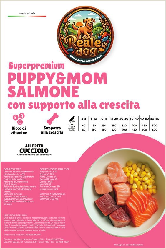 Reale Dog Puppy Salmone – crocchette per cani