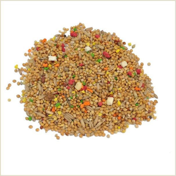Alivita Bisquì Cocorite – alimento per uccelli