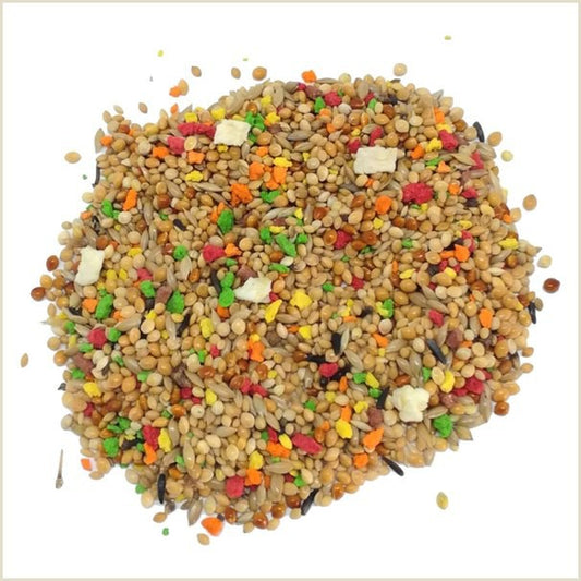 Alivita Bisquì Esotici – alimento per uccelli