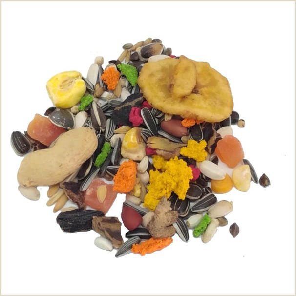 Alivita Bisquì Pappagalli – alimento per uccelli