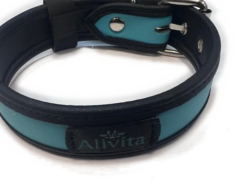 Collare per cani Alivita in similpelle verde