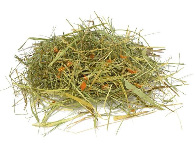 Fieno Alivita con carote per conigli e roditori, 500 g