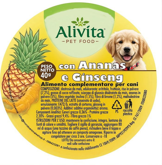 Gelato per cani Alivita Ananas e Ginseng 40 g