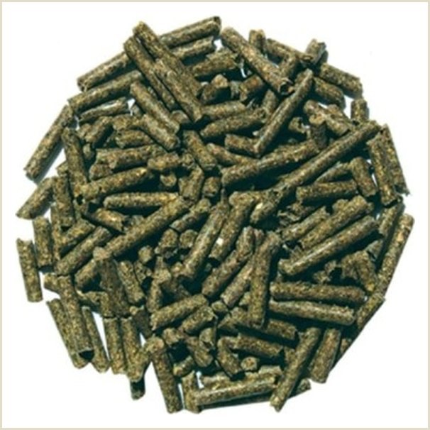 Alivita Mix Conigli Nani Adult – mangime per roditori